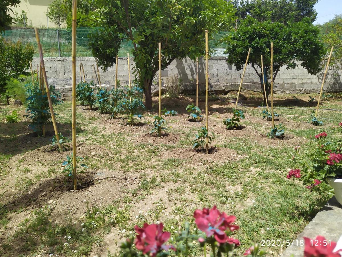 Summer Village House Popi Kanakades ภายนอก รูปภาพ