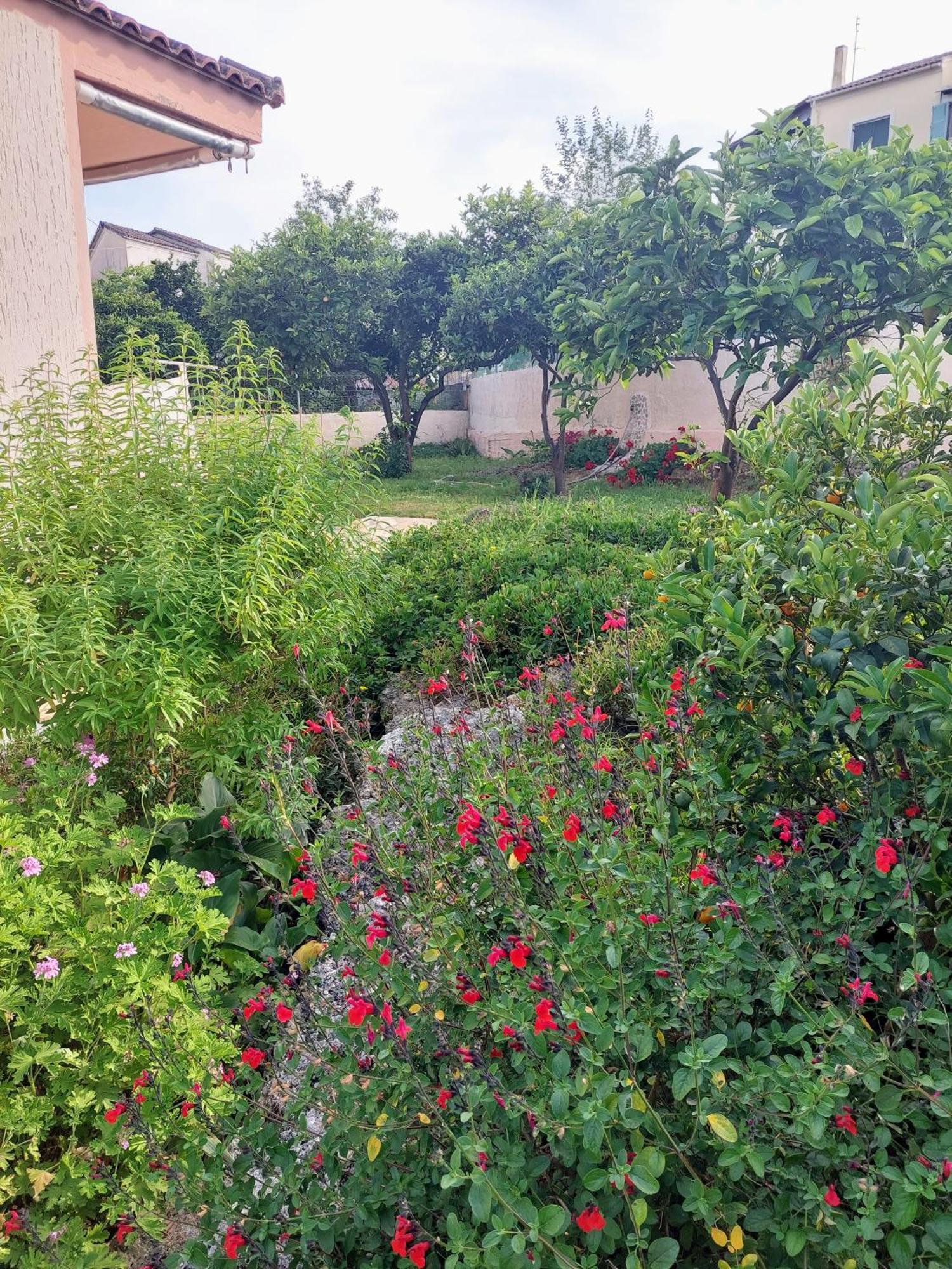 Summer Village House Popi Kanakades ภายนอก รูปภาพ